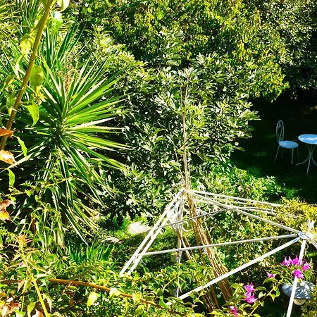 Les Petits Poissons Bed & Breakfast Avignon Bilik gambar