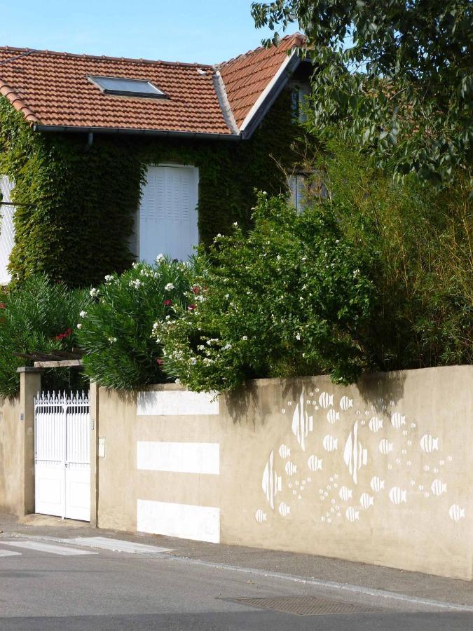 Les Petits Poissons Bed & Breakfast Avignon Luaran gambar