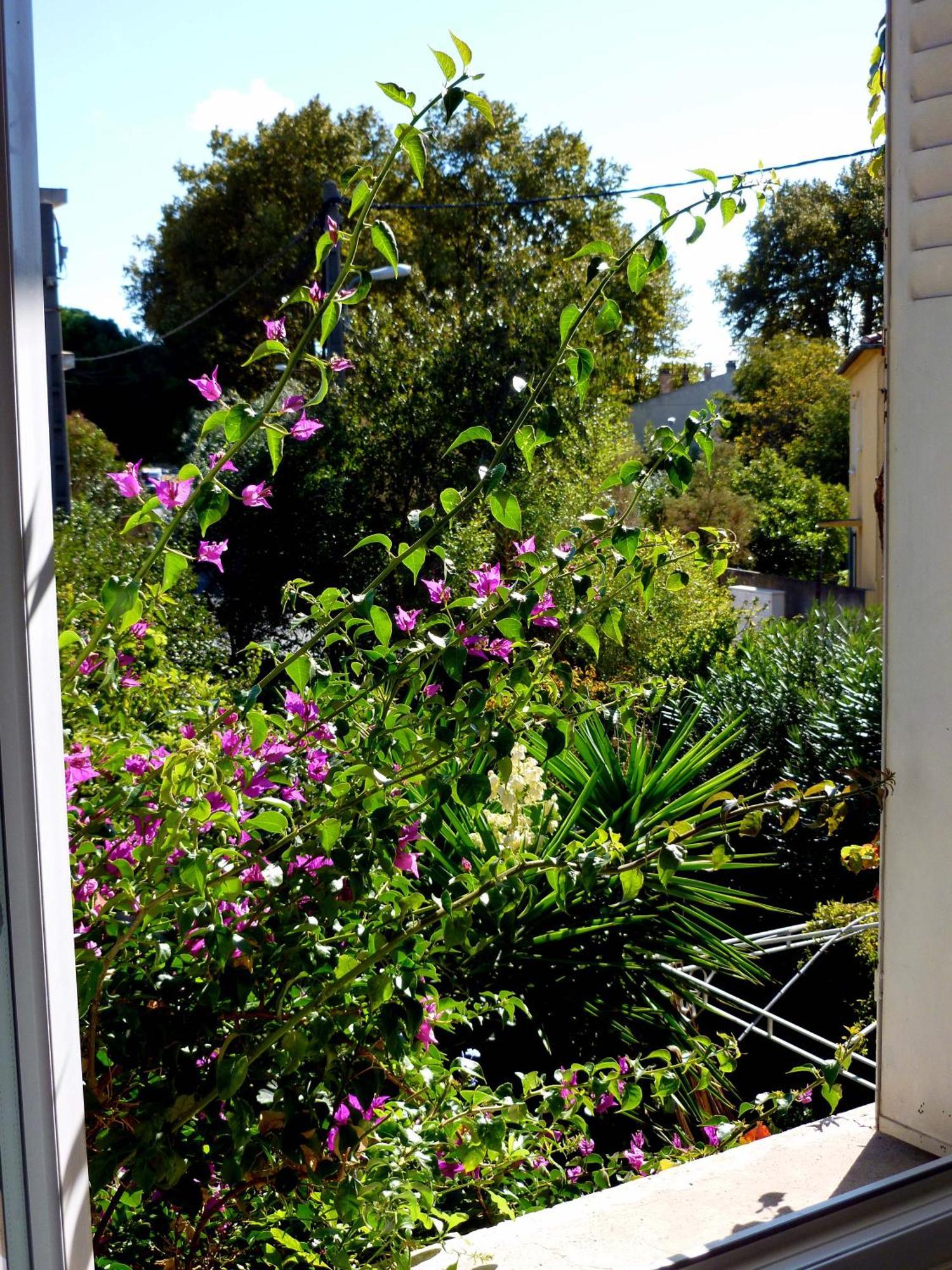 Les Petits Poissons Bed & Breakfast Avignon Bilik gambar